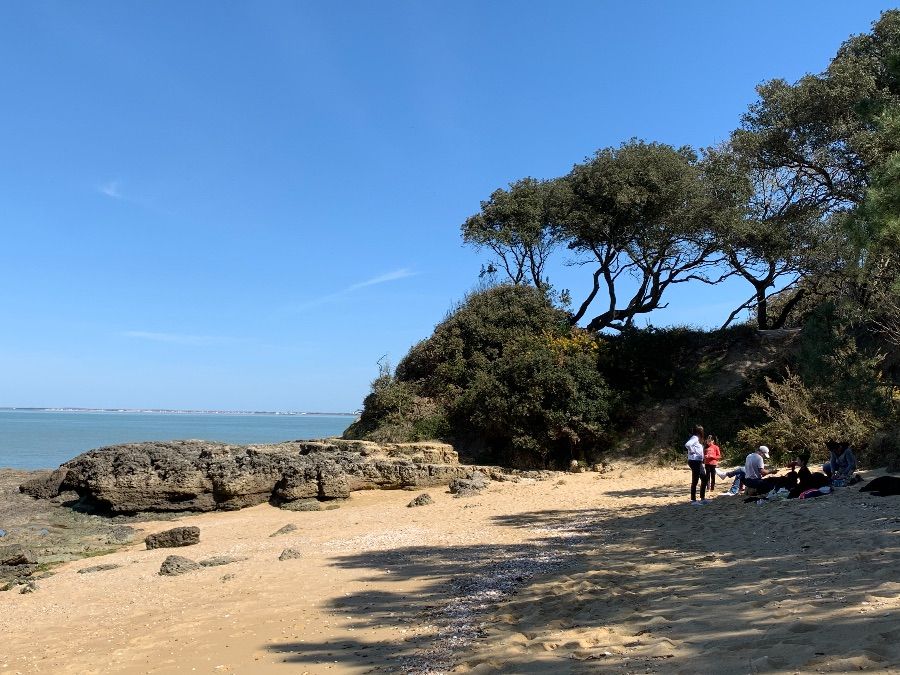 Louez votre bateau à l'île de Ré Larguez les amarres... 3